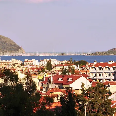 酒店 慕斯提斯帝京酒店 3*